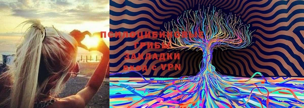 бутират Кукмор
